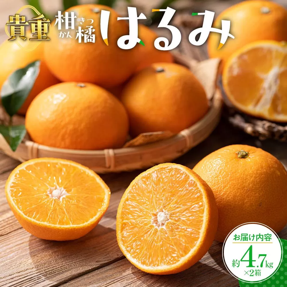 貴重柑橘　はるみ　約4.7kg×2箱【2026年2月上旬〜2026年3月中旬配送】