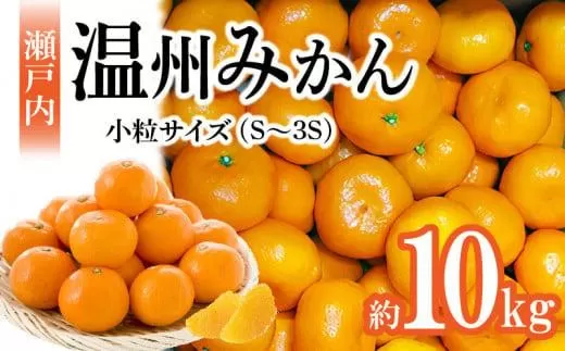 【先行予約】瀬戸内温州みかん　小粒サイズ　約10kg【2025-10月中旬〜2026-1月下旬配送】