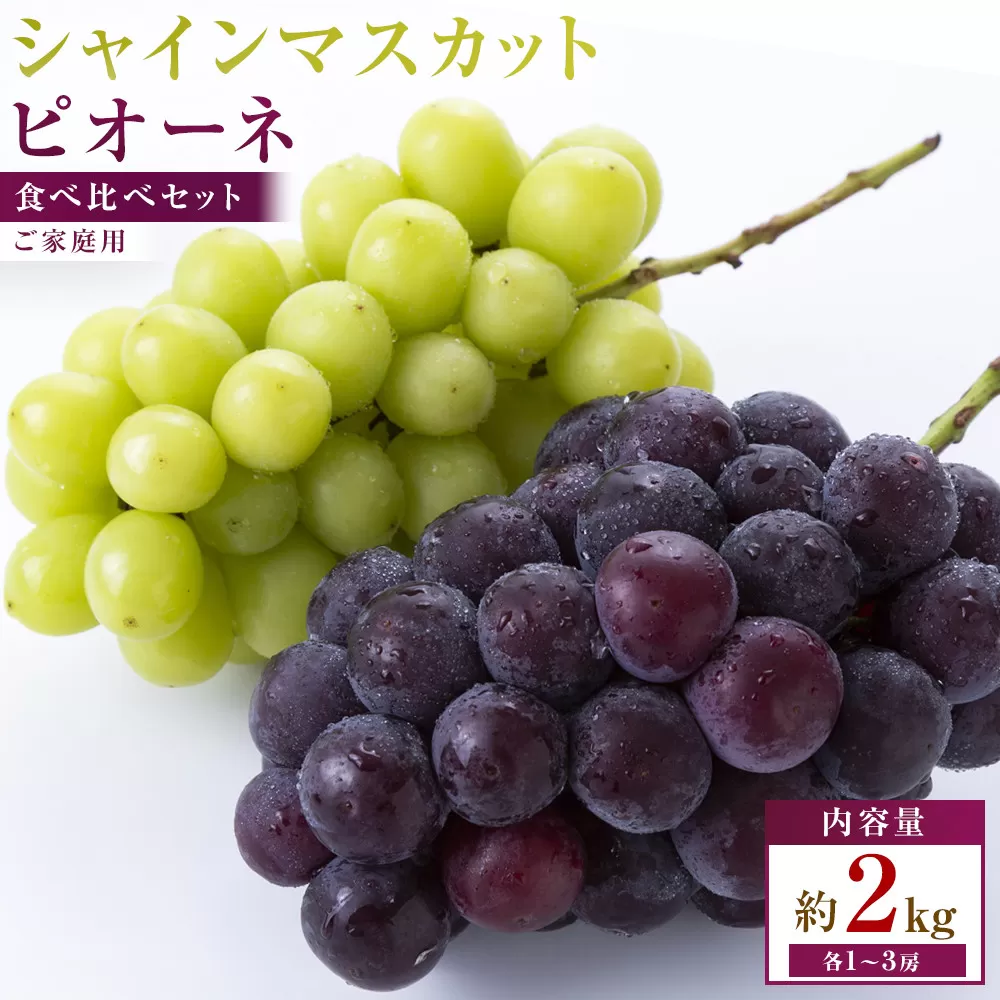 【満足セット】ご家庭用 シャインマスカット+ピオーネ食べ比べセット 約2kg(各1~3房)