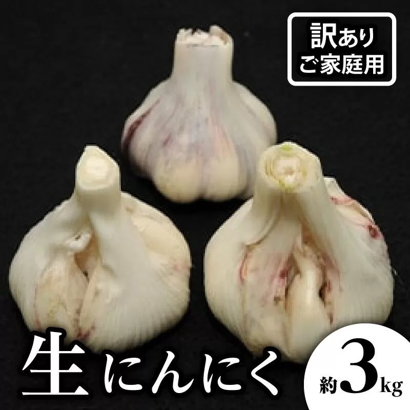 訳あり ご家庭用 生にんにく 約3kg【2027-5月上旬~2027-6月上旬配送】