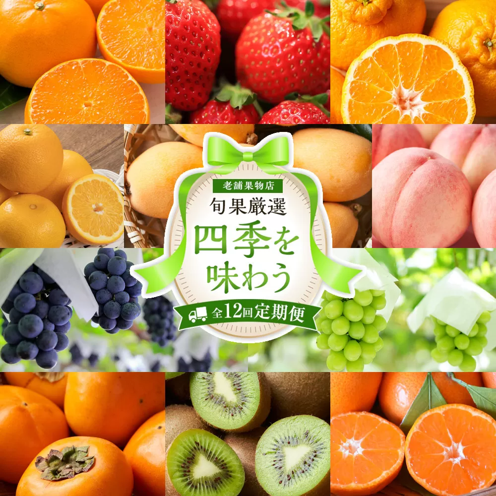 【定期便全12回】旬果厳選！四季を味わう単品定期便♪