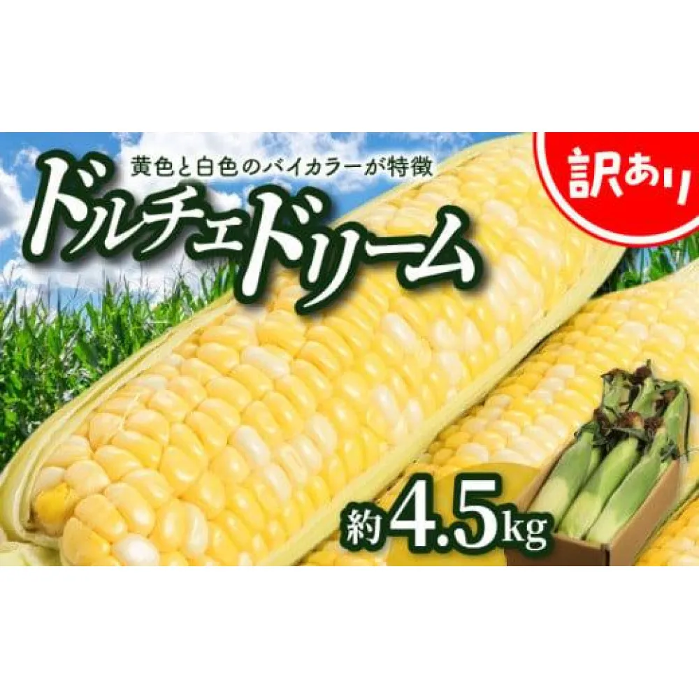 訳あり ご家庭用ドルチェドリーム 約4.5kg【2027-6月上旬～2027-7月上旬配送】