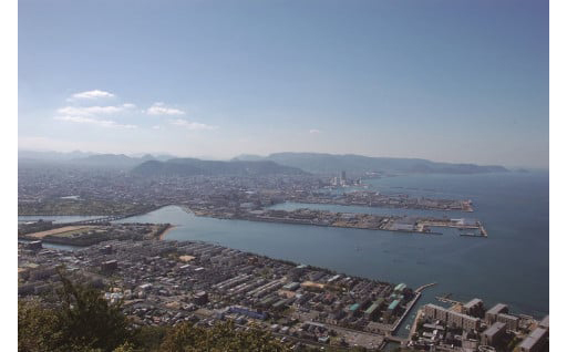 その他市長が必要と認める事業