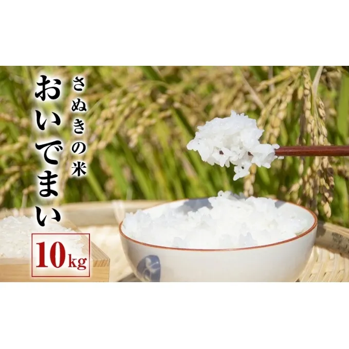 米 おいでまい 10kg 白米 精米 産地直送 お米 単一原料米 特A 特A米 ブランド米 10キロ ご飯 ごはん こめ コメ おこめ 送料無料 令和6年 令和6年産 香川 香川県 丸亀市