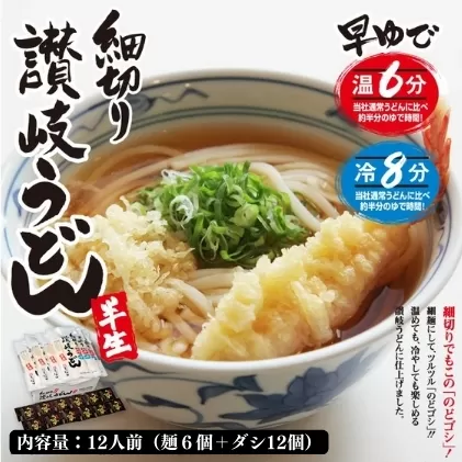 うどん 讃岐 絶妙なのどごし 細切り うどん 12人前 ダシ付 麺類 乾麺 惣菜 讃岐うどん さぬきうどん お中元 コシ 生麺 ぶっかけ 冷凍 半生麺 加工食品 引っ越し 製麺 茹でる 