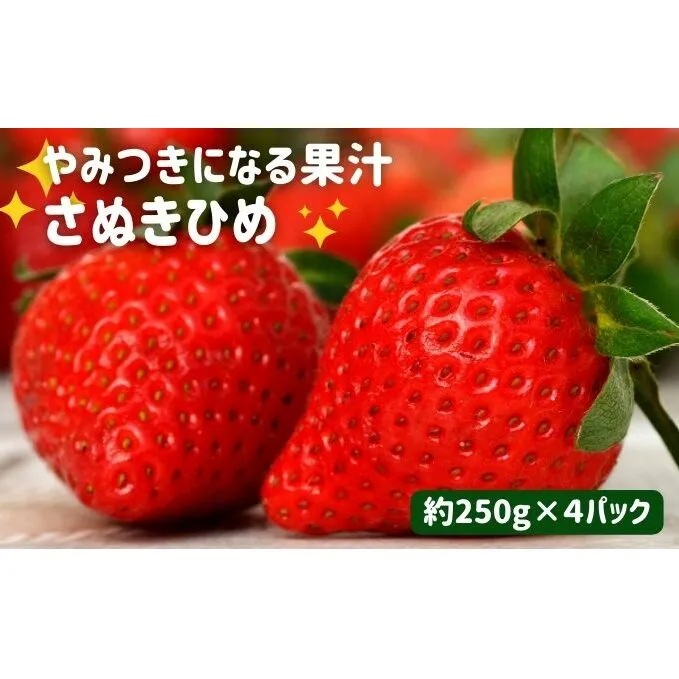 いちご やみつきになる果汁 さぬきひめ 苺 4パック 【2月以降発送開始】果物 フルーツ くだもの イチゴ さぬき姫 香川 