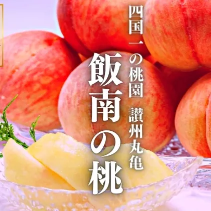 桃 讃州丸亀 飯南の桃 約4kg 11玉～14玉 特秀品クラス 贈答箱 フルーツ 果物 くだもの もも モモ 白桃 香川