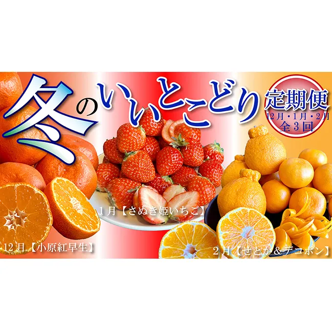 冬のいいとこどり定期便【全3回】 果物 詰合せ セット フルーツ 果物類 いちご 苺 イチゴ みかん 柑橘類