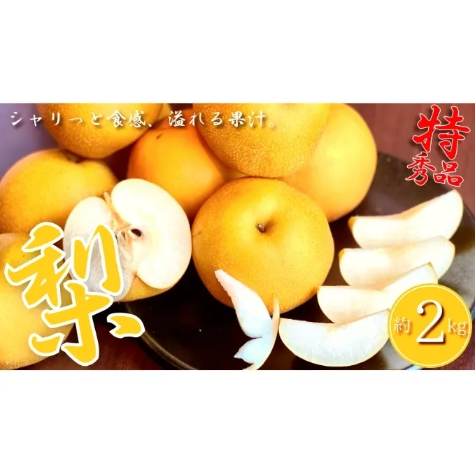 【2025年8月中旬より順次発送】特秀品！丸亀育ちの「梨」約2kg ナシ 果物 フルーツ みずみずしく すっきりとした甘さ シャキシャキとした歯触り 冷蔵 