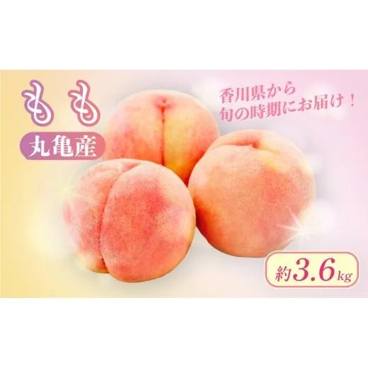 【先行予約】 桃 約3.6kg (1.8kg箱×2) フルーツ 果物 果実 モモ プレゼント ギフト スイーツ デザート ケーキ ジュース ゼリー アイス シャーベット ジャム ふるさと納税桃 ふるさと納税モモ お取り寄せ 送料無料 ふるさと納税 ふるさと納税フルーツ 香川県 丸亀市