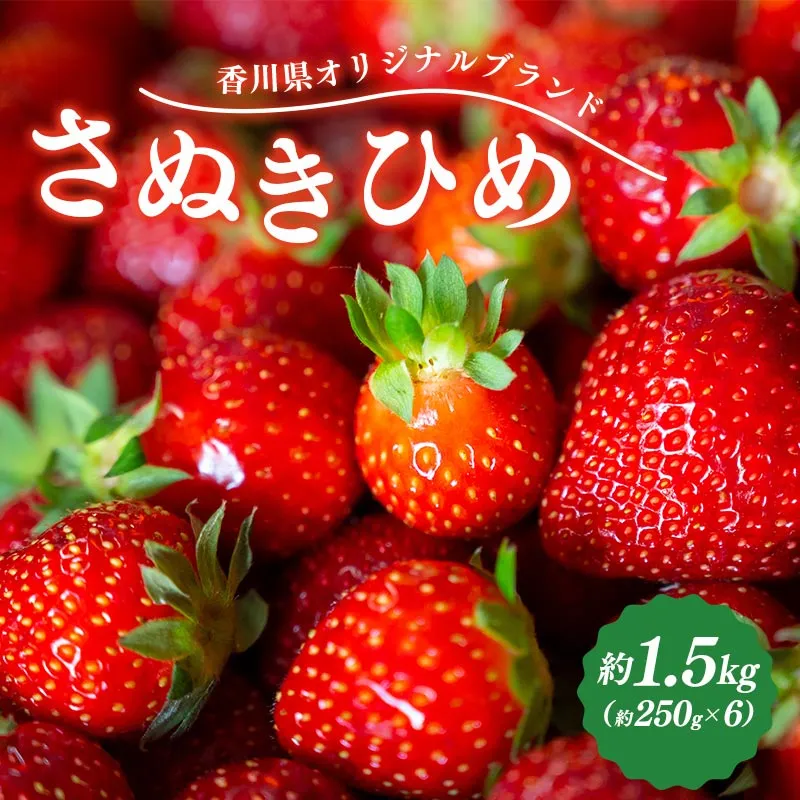先行予約 いちご さぬきひめ 約1.5kg (250g×6) 果物 フルーツ 苺 デザート スイーツ ケーキ ジュース ゼリー アイス シャーベット ジェラート フルーツ大福 ドライフルーツ クレープ ギフト 家庭用 旬の果物 旬 ビタミンC 美容 健康 お取り寄せ グルメ 人気 おすすめ 香川県 丸亀市