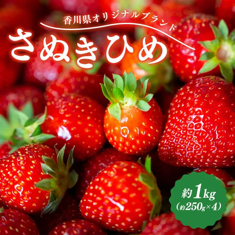 先行予約 いちご さぬきひめ 約1kg (250g×4) 果物 フルーツ 苺 デザート スイーツ ケーキ ジュース ゼリー アイス シャーベット ジェラート フルーツ大福 ドライフルーツ クレープ ギフト 家庭用 旬の果物 旬 ビタミンC 美容 健康 お取り寄せ グルメ 人気 おすすめ 香川県 丸亀市