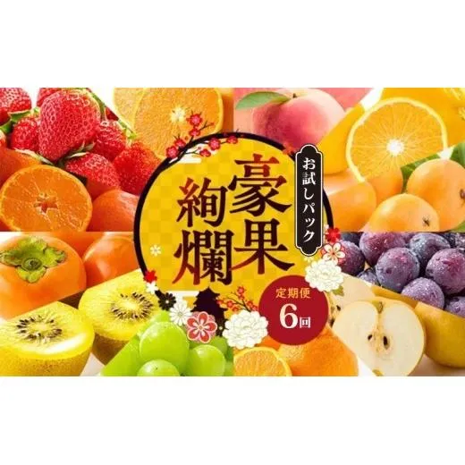 【定期便6回】 【お試しパック】 フルーツ 果物 定期便  お試しパック ミニ いちご 桃 シャインマスカット デコポン ピオーネ みかん 小原紅早生 苺 さぬきひめ もも 飯山の桃 ニューピオーネ 飯山 詰め合わせ 旬のフルーツ 旬 ギフト フルーツ定期便 果物定期 果物定期便 人気果物 豪果絢爛 香川県 丸亀市