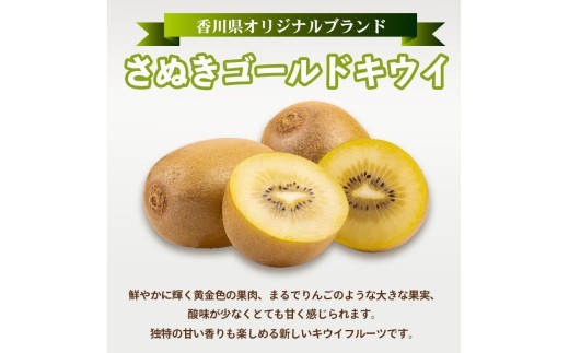旬のフルーツ 定期便 5 回 Cコース 果物 フルーツ いちご 苺 キウイ
