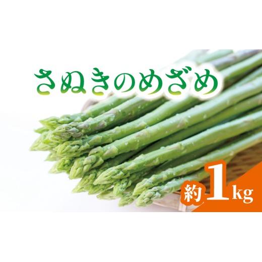 予約 アスパラガス さぬきのめざめ 約1kg アスパラ グリーンアスパラ 野菜 やさい 旬 旬の野菜 季節の野菜 産地直送 冷蔵 冷蔵配送 食物繊維 ビタミンC 柔らかい 甘い 料理 おかず アスパラベーコン巻き 炒め フライ ポタージュ 香川県 丸亀市 配送：3月上旬～