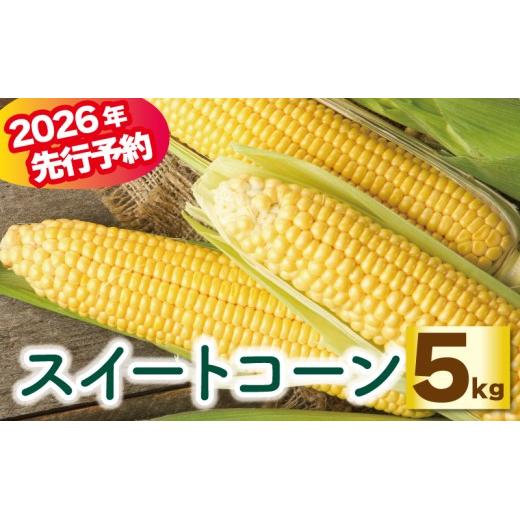 【先行受付】【2026年6月～7月配送】とうもろこし スイートコーン 約5kg プレミアム味来 ゴールドラッシュ コーン 香川県 丸亀市