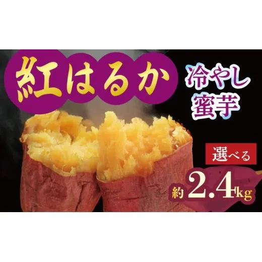 焼き芋 蜜芋 冷蔵 紅はるか 約2.4kg 芋 さつまいも おいも お芋 やきいも サツマイモ おやつ スイーツ デザート コグマ ダイエット 低GI 食物繊維 香川県 丸亀市 配送:11月下旬~