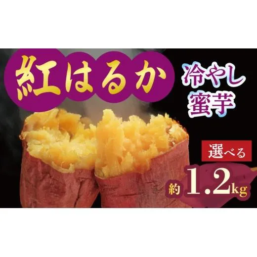 焼き芋 蜜芋 冷蔵 紅はるか 約1.2kg 芋 さつまいも おいも お芋 やきいも サツマイモ おやつ スイーツ デザート コグマ ダイエット 低GI 食物繊維 香川県 丸亀市 配送:11月下旬~