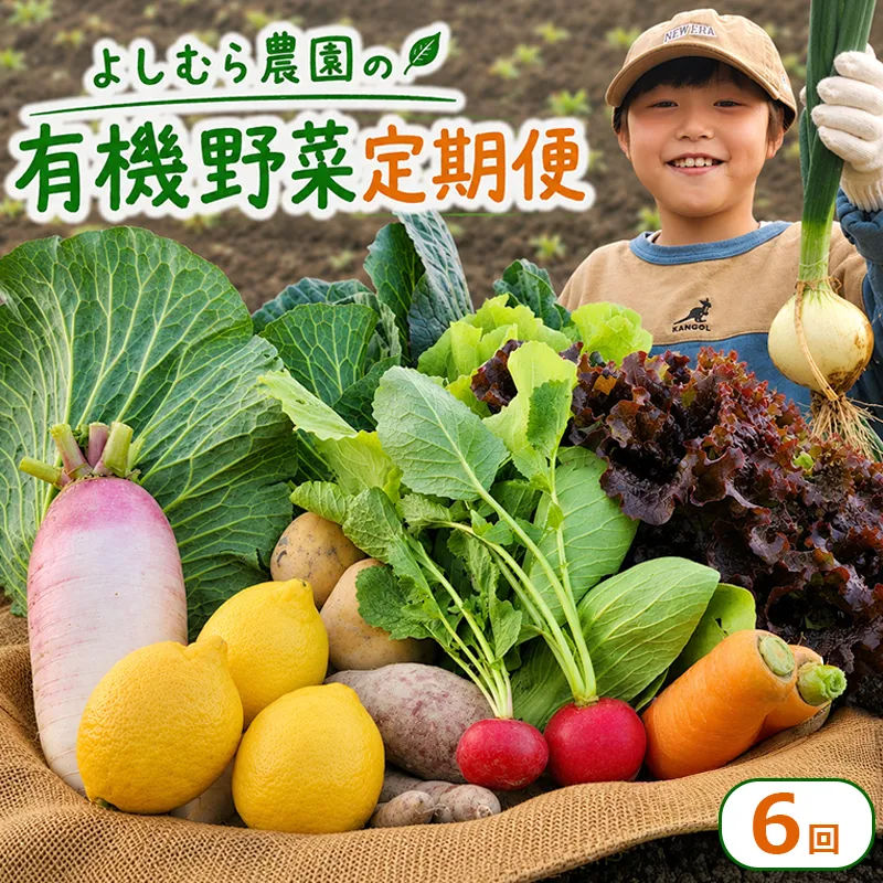 野菜 定期便 6回 詰め合わせ 10種 よしむら農園 オーガニック 有機 有機野菜 やさい ベジタブル おまかせ セット 一人暮らし おすすめ レタス とうもろこし トマト 有機栽培 JAS 栄養 贅沢 国産 大容量 人気 新鮮 今が旬 香川県 丸亀市
