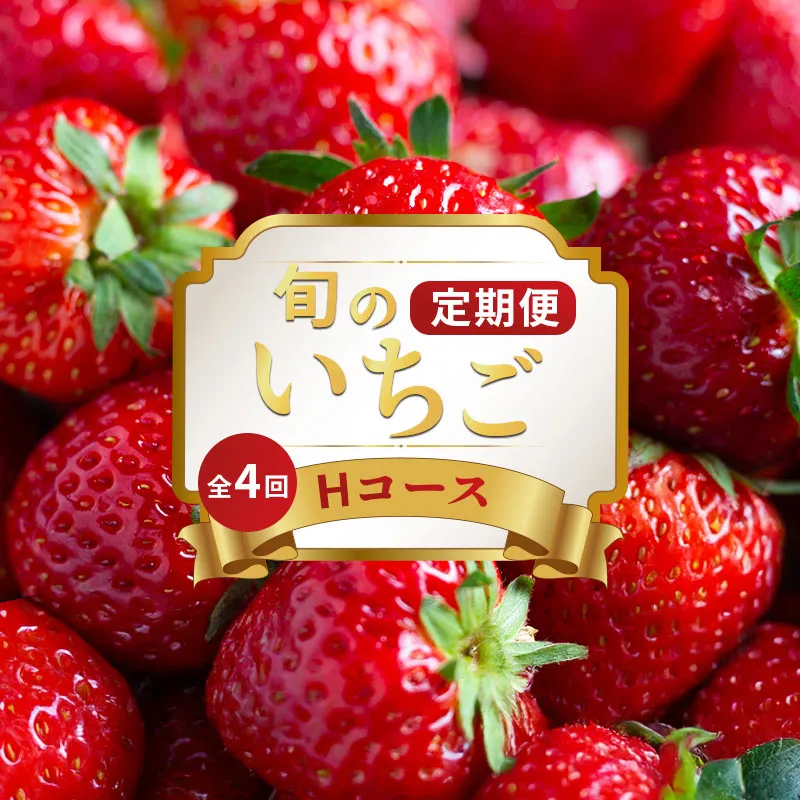 いちごの定期便 4回 Hコース 果物 フルーツ いちご 苺 さぬきひめ スイーツ デザート ケーキ ゼリー ジュース ジェラート アイス いちご大福 フルーツ大福 ジャム クレープ ショートケーキ タルト ふるさと納税定期便 ふるさと納税フルーツ ギフト 贈答 送料無料 ふるさと納税 香川県 丸亀市