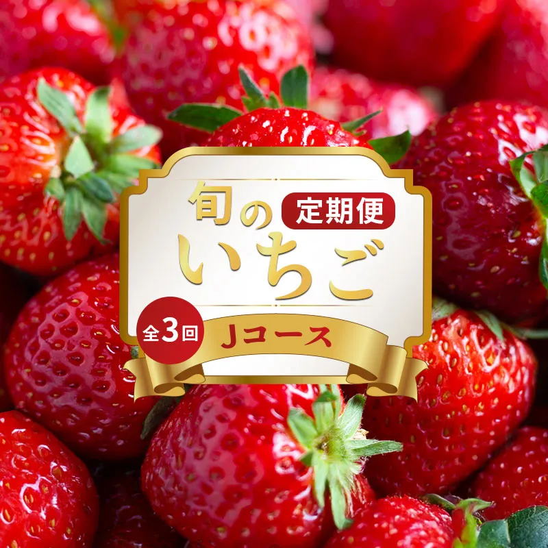 いちご 定期便 3回 Jコース 果物 フルーツ いちご 苺 さぬきひめ ケーキ ゼリー ジュース アイス ジェラート ジャム いちご大福 スイーツ デザート ケーキ ゼリー ジュース ジャム アイス ジェラート フルーツ大福 クレープ ふるさと納税定期便 ふるさと納税フルーツ ギフト 贈答 送料無料 ふるさと納税 香川県 丸亀市