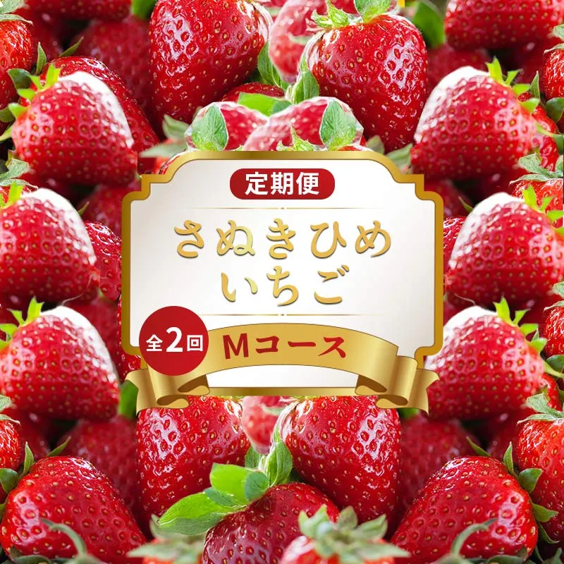 いちごの定期便 2回 Mコース 果物 フルーツ いちご 苺 さぬきひめ デザート スイーツ ケーキ ゼリー ジュース アイス ジェラート フルーツ大福 ふるさと納税定期便 定期便 ふるさと納税フルーツ ギフト 贈答 送料無料 ふるさと納税 香川県 丸亀市
