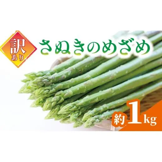 【訳あり】 予約 アスパラガス さぬきのめざめ 1kg グリーン アスパラガス アスパラ あすぱら あすぱらがす 採れたて 新鮮 旬 産地直送 野菜 香川県 丸亀市 配送：３月中旬～10月中旬