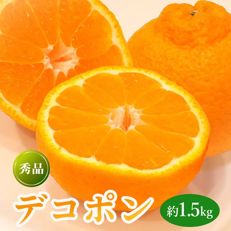 先行予約 デコポン 約1.5kg  果物 フルーツ デコポン 不知火 みかん 蜜柑 柑橘 デザート スイーツ ケーキ ジュース ゼリー アイス シャーベット ジェラート ギフト 家庭用 旬の果物 旬 お取り寄せ グルメ 人気 おすすめ 香川県 丸亀市