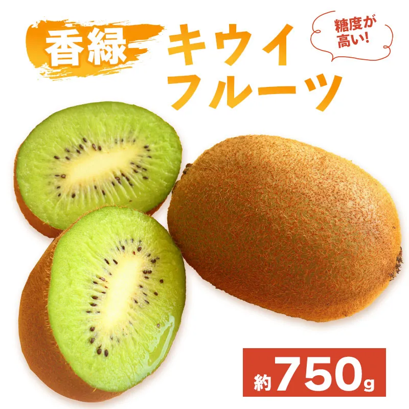 先行予約 キウイフルーツ 香緑 約750g  果物 フルーツ キウイ グリーンキウイ こうりょく デザート スイーツ ケーキ ジュース ゼリー アイス シャーベット ジェラート フルーツ大福 ドライフルーツ  ギフト 家庭用 旬の果物 旬 ビタミンC 美容 健康 お取り寄せ グルメ 人気 おすすめ 香川県 丸亀市
