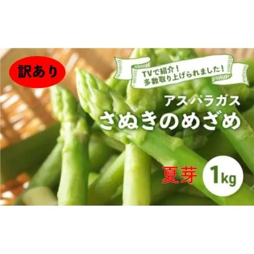 【訳あり】【先行予約】 アスパラガス さぬきのめざめ 夏芽 1kg アスパラ グリーンアスパラ 野菜 やさい 旬 旬の野菜 季節の野菜 産地直送 香川 香川県 丸亀 丸亀市 冷蔵 冷蔵配送 疲労回復 免疫力向上 食物繊維 ビタミンC 柔らかい 甘い 料理 おかず アスパラベーコン巻き 炒め フライ ポタージュ ふるさと納税アスパラ ふるさと納税野菜 株式会社五色青果
