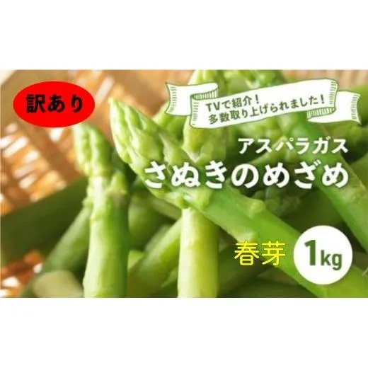 【訳あり】【先行予約】 アスパラガス さぬきのめざめ 春芽 1kg アスパラ グリーンアスパラ 野菜 やさい 旬 旬の野菜 季節の野菜 産地直送 香川 香川県 丸亀 丸亀市 冷蔵 冷蔵配送 疲労回復 免疫力向上 食物繊維 ビタミンC 柔らかい 甘い 料理 おかず アスパラベーコン巻き 炒め フライ ポタージュ ふるさと納税アスパラ ふるさと納税野菜 株式会社五色青果