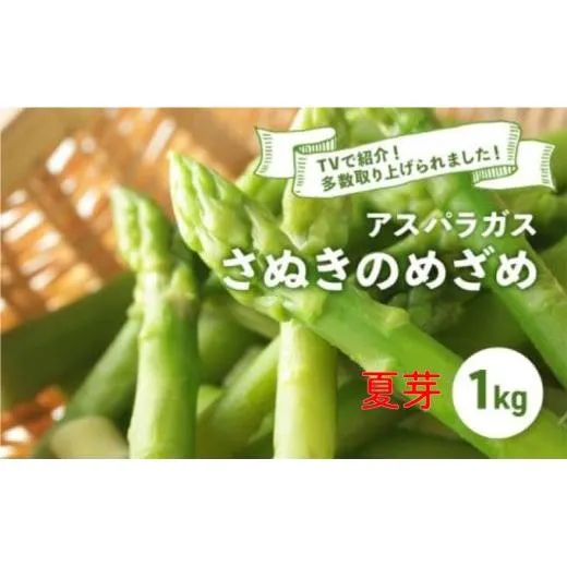 【先行予約】 アスパラガス さぬきのめざめ 夏芽 1kg アスパラ グリーンアスパラ 野菜 やさい 旬 旬の野菜 季節の野菜 産地直送 香川 香川県 丸亀 丸亀市 冷蔵 冷蔵配送 疲労回復 免疫力向上 食物繊維 ビタミンC 柔らかい 甘い 料理 おかず アスパラベーコン巻き 炒め フライ ポタージュ ふるさと納税アスパラ ふるさと納税野菜 株式会社五色青果