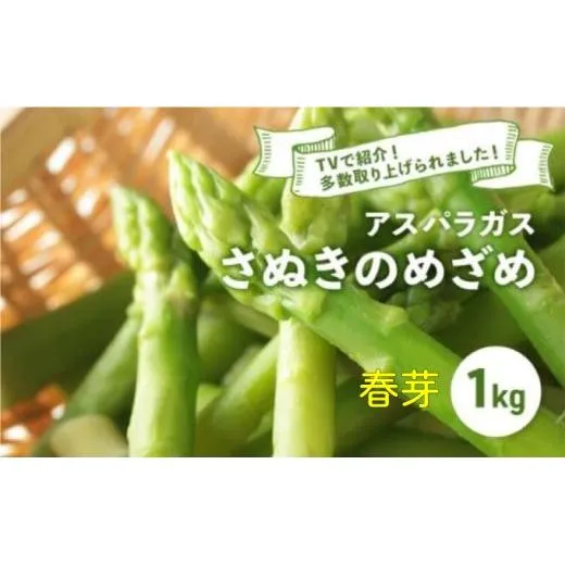 アスパラガス さぬきのめざめ 春芽 1kg アスパラ グリーンアスパラ 野菜 旬 旬の野菜 季節の野菜 産地直送 香川 香川県 丸亀 丸亀市 冷蔵 冷蔵配送 先行 予約 先行予約 2026 2026年 3月以降発送開始