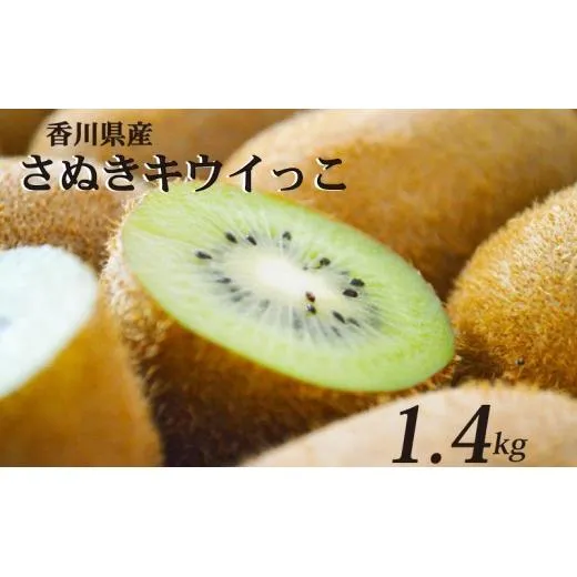【11月上旬から12月下旬の間で順次発送】 一口サイズ！ さぬきキウイっこ 約1.4kg 香川県産 キウイっこ キウイ キウイフルーツ 果物 ふるさと納税キウイ 香川県 丸亀市