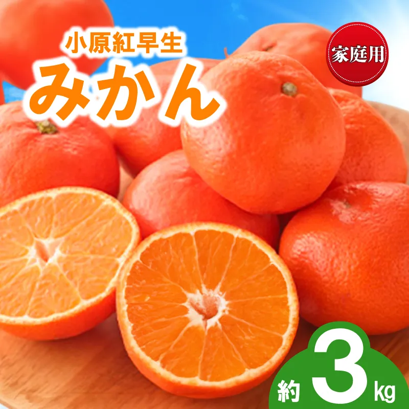 先行予約 みかん 蜜柑 約3kg 小原紅早生 小原紅早生みかん 柑橘 オレンジ 果物 フルーツ 果実 旬 家庭用 11月下旬～12月下旬 配送 香川県 丸亀市