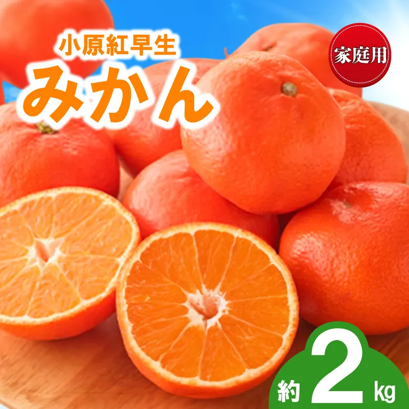 先行予約 みかん 蜜柑 約2kg 小原紅早生 小原紅早生みかん 柑橘 オレンジ 果物 フルーツ 果実 旬 家庭用 11月下旬~12月下旬 配送 香川県 丸亀市