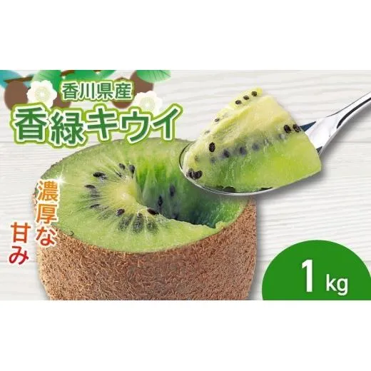 濃厚な甘み！ 香緑キウイ 約1kg 香川県産 香緑 キウイ キウイフルーツ 果物 ふるさと納税キウイ 香川県 丸亀市