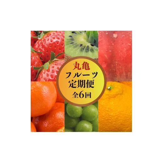 【果物を贅沢に味わう】 丸亀のフルーツ定期便 全6回 キウイ いちご 不知火 桃 シャインマスカット みかん さぬきひめ さぬき紅みかん 香緑 香川県 丸亀市