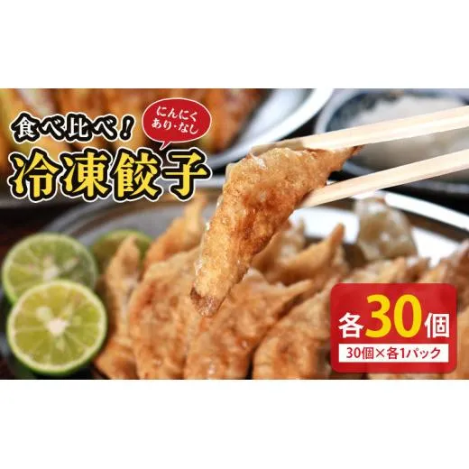 冷凍餃子 選べる容量 にんにくあり なし 食べ比べセット 各1個 餃子 セット ぎょうざ ギョウザ にんにく 青森 肉 お肉 豚肉 豚 鶏肉 鳥 おつまみ 加工品 肉汁 惣菜 お弁当 冷凍ストック 寺岡商店 香川県 丸亀市