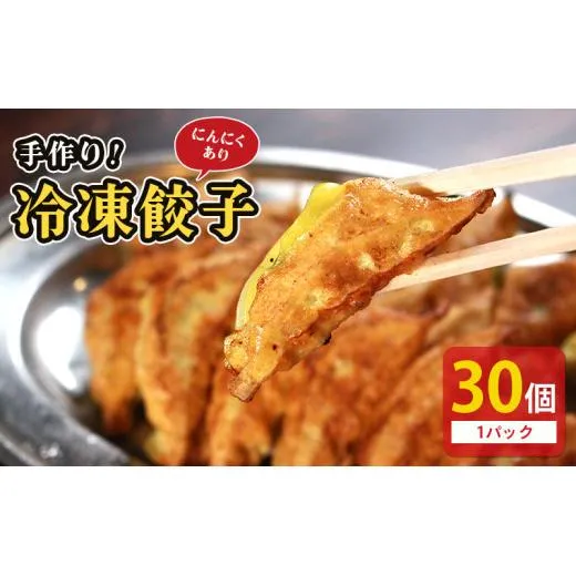 冷凍餃子 選べる容量 にんにくあり 30個×1p 餃子 セット ぎょうざ ギョウザ にんにく 青森 肉 お肉 豚肉 豚 鶏肉 鳥 おつまみ 加工品 肉汁 惣菜 お弁当 冷凍ストック 寺岡商店 香川県 丸亀市
