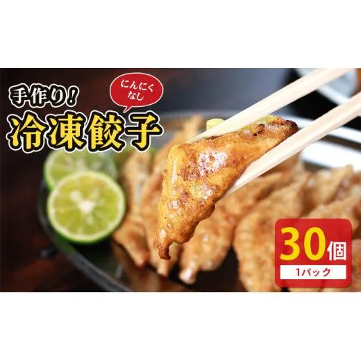冷凍餃子 選べる単品 にんにくなし 30個×1p 餃子 セット ぎょうざ ギョウザ にんにく 不使用 肉 お肉 豚肉 豚 鶏肉 鳥 おつまみ 加工品 肉汁 惣菜 お弁当 冷凍ストック 寺岡商店 香川県 丸亀市