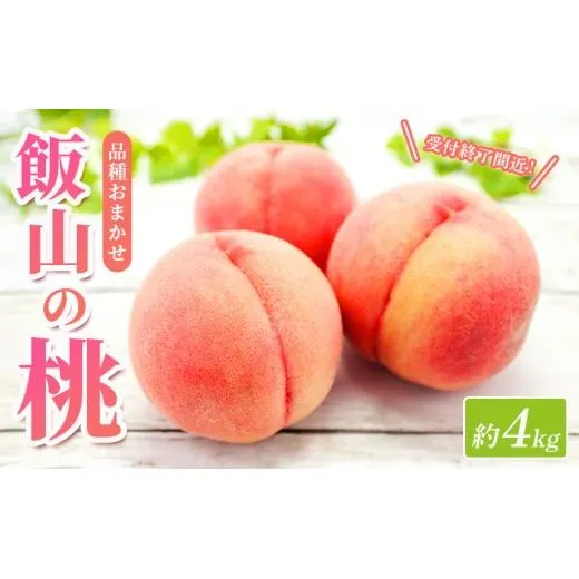【先行予約】桃 約 4kg もも モモ 白桃 ピーチ 果物 くだもの フルーツ 果実 飯山の桃 旬 新鮮 箱入り 冷蔵 贈答 ギフト プレゼント お中元 香川県丸亀市