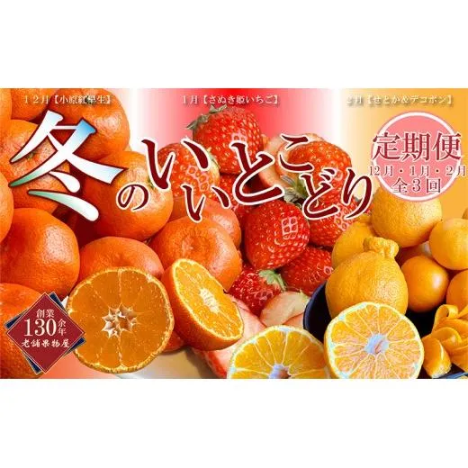 冬のいいとこどり定期便【全3回】 果物 詰合せ セット フルーツ 果物類 いちご 苺 イチゴ みかん 柑橘類