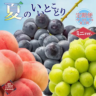 【全3回】フルーツ定期便「丸亀市夏のいいとこどり定期便」～少人数でも楽しみやすい食べきり版～/シャインマスカット 桃 ピオーネ 定期配送 頒布会 果実 果物