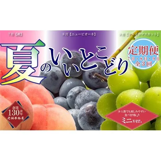 【全3回】フルーツ定期便「丸亀市夏のいいとこどり定期便」～少人数でも楽しみやすい食べきり版～/シャインマスカット 桃 ピオーネ 定期配送 頒布会 果実 果物