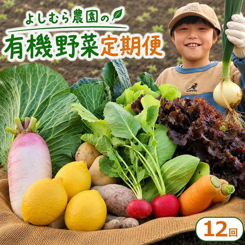 野菜 定期便 12回 詰め合わせ 10種 よしむら農園 オーガニック 有機 有機野菜 やさい ベジタブル おまかせ セット 一人暮らし おすすめ レタス とうもろこし トマト 有機栽培 JAS 栄養 贅沢 国産 大容量 人気 新鮮 今が旬 香川県 丸亀市