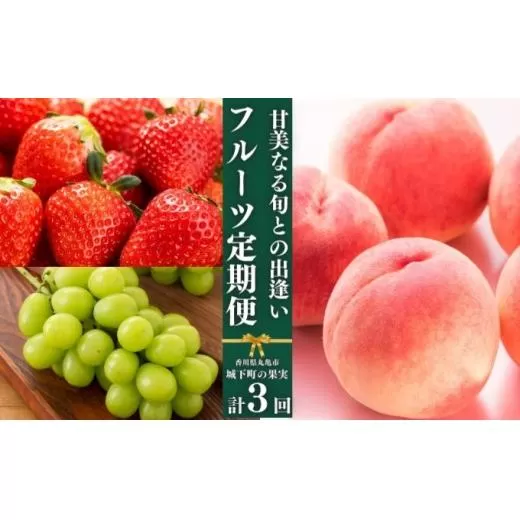 フルーツ 定期便 3回 旬に出逢う城下町の果実 定期配送 いちご 桃 シャインマスカット 果実 果物 ぶどう