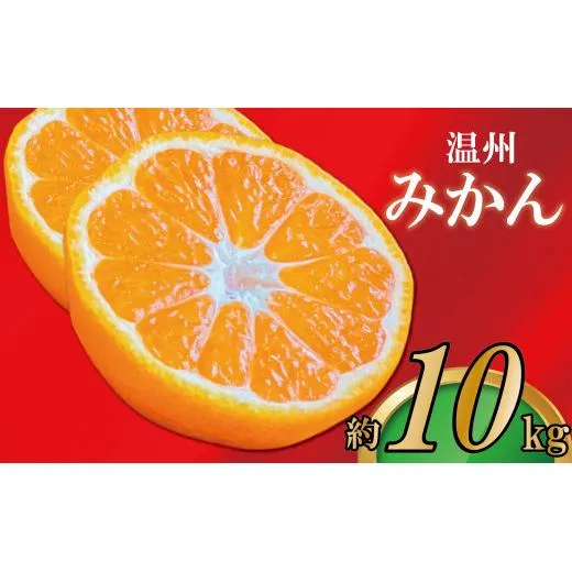 【2026年11月上旬より順次発送】【極撰】みかん 香川 温州みかん 約10kg フルーツ 果物 柑橘 柑橘類 デザート おやつ 旬 産地直送 冬の味覚 旬の果物 旬のフルーツ お取り寄せ 取り寄せ 送料無料 温州ミカン ミカン 蜜柑