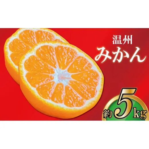 みかん 香川 極撰 温州みかん 約 5kg フルーツ 果物 柑橘 柑橘類 デザート おやつ 旬 産地直送 冬の味覚 旬の果物 旬のフルーツ お取り寄せ 取り寄せ 送料無料 温州ミカン ミカン 蜜柑