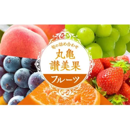 旬のフルーツ詰合せ！丸亀讃美果／ 果実 果物 旬 今が旬 シャインマスカット 桃 みかん いちご ピオーネ ぶどう 詰め合わせ 詰合せ 果物類 季節の果物 ブドウ せとか お楽しみ
